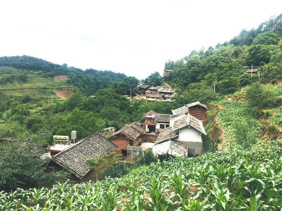 现在住房安全稳固
