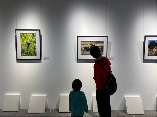 市民扫码入馆即可免费观展