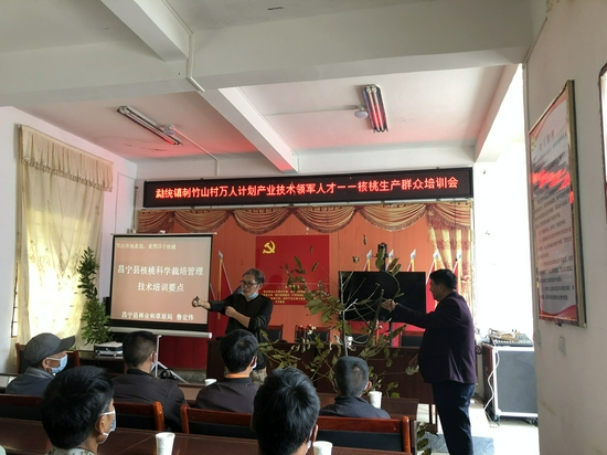 昌宁县林业科技服务队到勐统镇开展核桃种植技术培训
