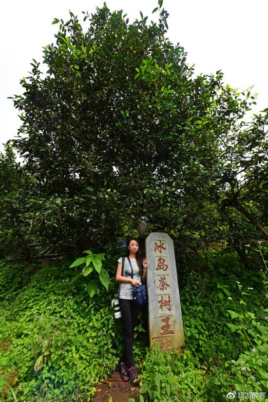 从芯仙茗堂云顶筑巢自驾至临沧冰岛村 风尘仆