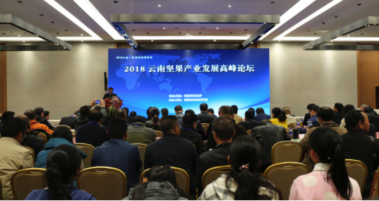 (2018云南坚果产业发展高峰论坛)
