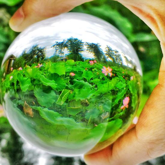 手机组一等奖:胡平华《幻境荷花 》