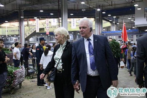 外国驻华使节团参观斗南鲜花交易市场。记者甘凌菲/摄