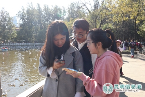 志愿者向游客派发鸥粮