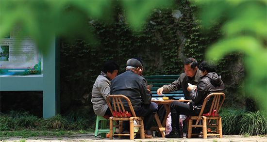 网络图片