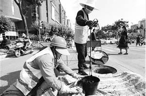 城市排水公司的工作人员在环城西路清淤 记者 杨峥 摄