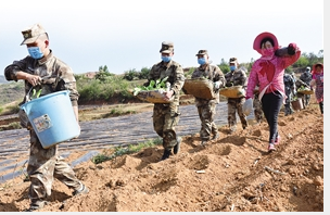 曲靖马龙区民兵帮扶村民栽种浇灌烟苗 通讯员 钱梅清 摄