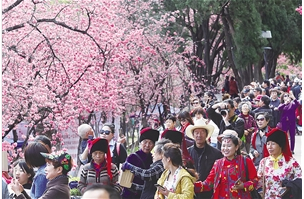圆通山动物园樱花进入盛花期 记者 杨峥 摄