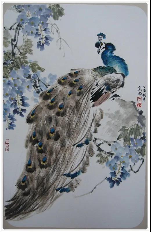 △如克忠的中国画作品《孔雀图》