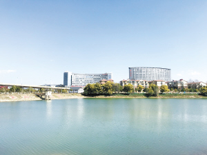 经开区大冲公园。