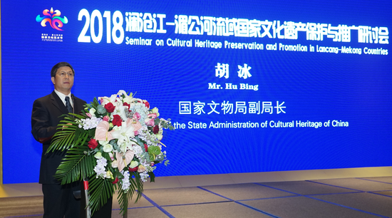 国家文物局副局长胡冰