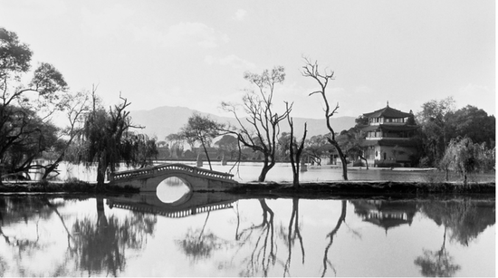 大观公园 杨长福 摄
