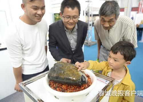 满汉全席大鱼头