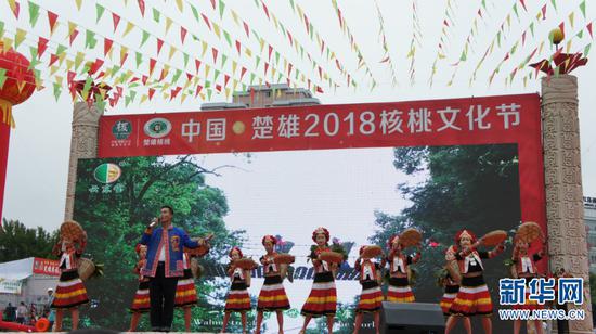 核桃文化节开幕仪式