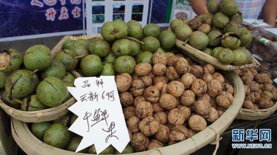 核桃鲜果销售