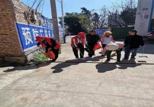 社区“双服务双报到双报告”党员到村小组环境卫生整治