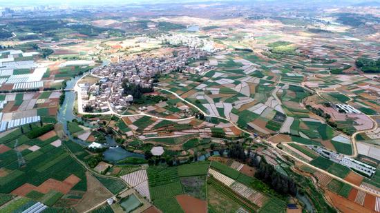巴江河沿岸的千亩蔬菜基地(周密 摄)