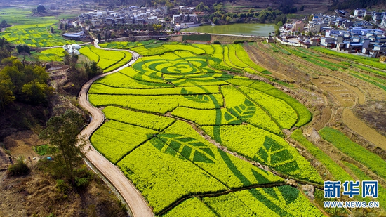 航拍云南安宁巨型“山茶花”。新华网发(陈畅 摄)