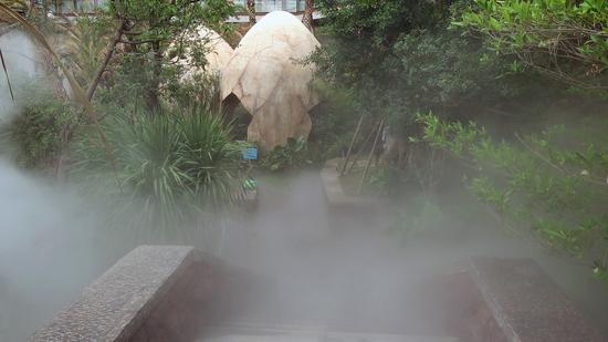 恐龙蛋中泡温泉