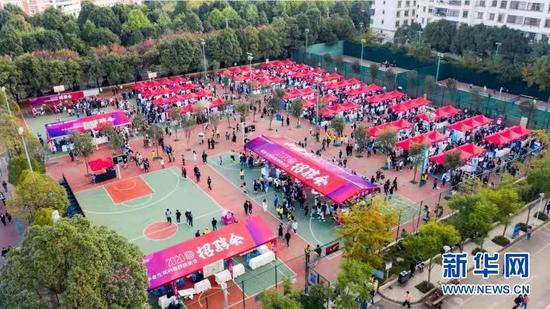 洽谈会现场。新华网发(供图)