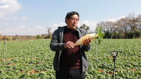 乌龙村党总支书记韩永云