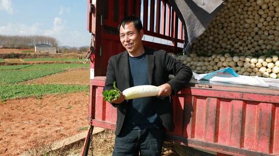 蔬菜经销商收购萝卜