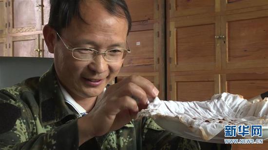 5月19日,云南高黎贡山国家级自然保护区保山管护局腾冲分局的工作人员在开展滇桐种子育苗实验。 新华社发(陈晓丹摄)