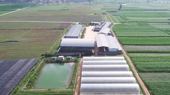 上海市宝山区援建宣威市热水镇热水村中药材(灯盏花)基地项目