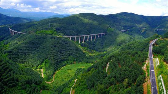 《青山卧巨龙》