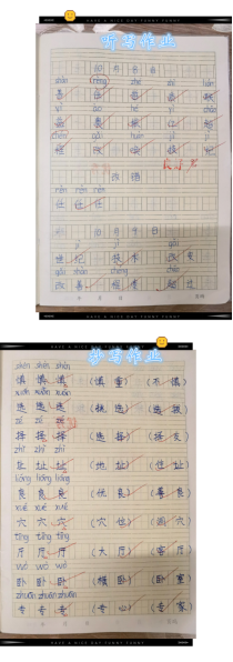 抄写作业(老师在写得好的字下面打上了“△”)