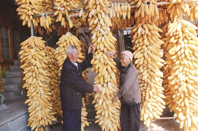 丰收