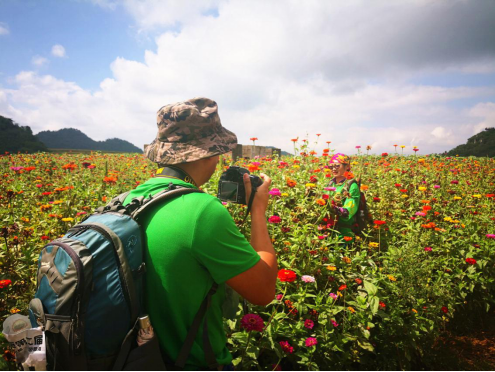 花田中拍照的游客 刘伟摄