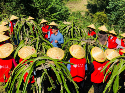 图为:贞丰火龙果百胜种植地块培训现场(资料图)