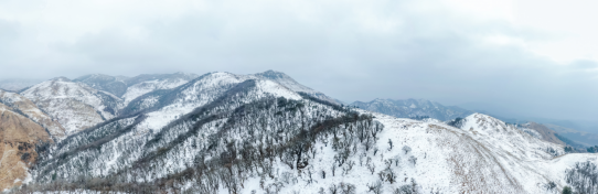 瑞雪兆丰年