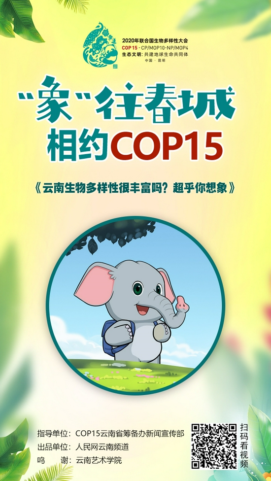 “‘象’往春城 相约COP15”系列动漫《云南生物多样性很丰富吗?超乎你想象》海报