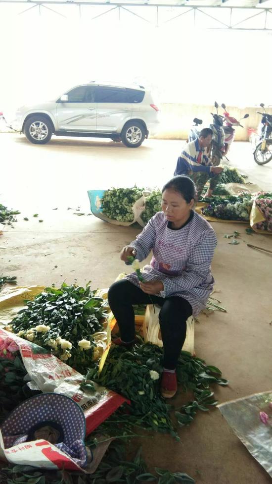 王玉兰在整理花卉