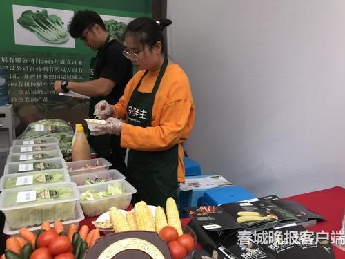 有机蔬菜沙拉