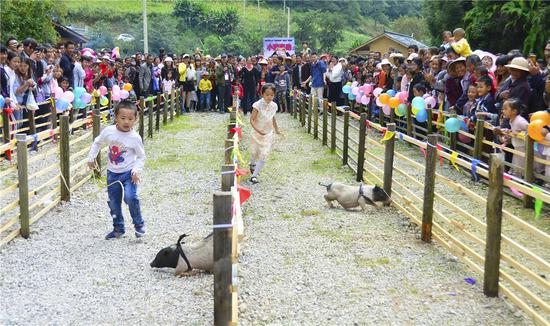兰山火腿松露文化节上的”小猪赛跑“
