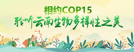 图一 音频栏目名