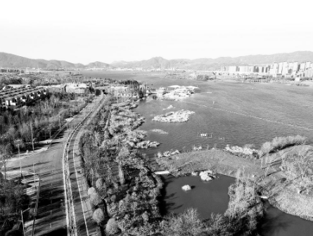 西山区今年将开展滇池重点水域湖内生态修复试点,完成草海生态廊道建设。记者 黄兴能 摄
