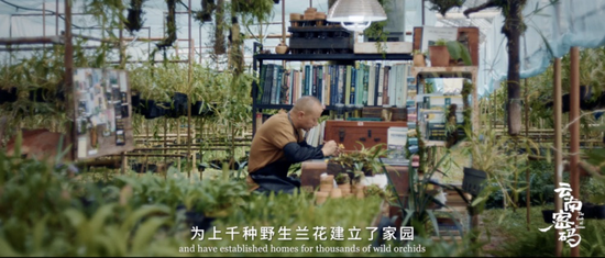 兰科植物保护者 张煜