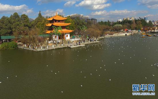 图为滇池湖畔的大观楼公园。