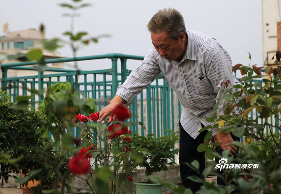 影像安徽重阳节特刊:我的父母