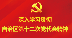 深入学习贯彻自治区第十二次党代会精神