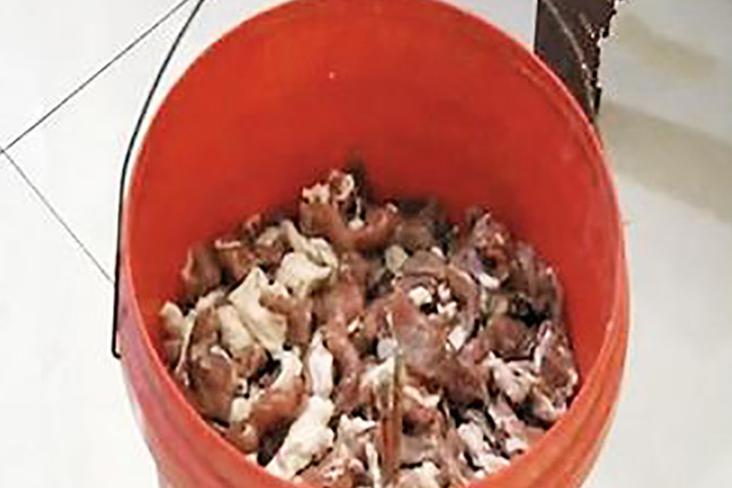 市民买猪肉夜里发光