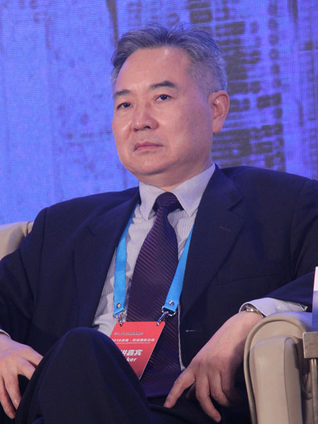 中国国际经济交流中心副总经济师徐洪才