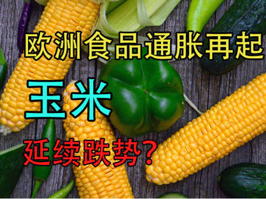 欧洲食品通胀再起，玉米延续跌势？