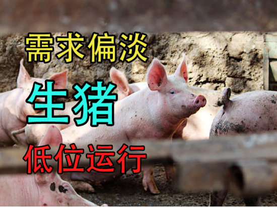 需求偏淡，生猪低位运行
