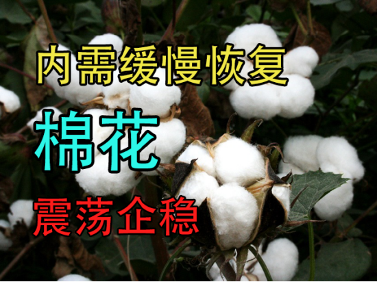 中粮期货：内需缓慢恢复，棉花震荡企稳