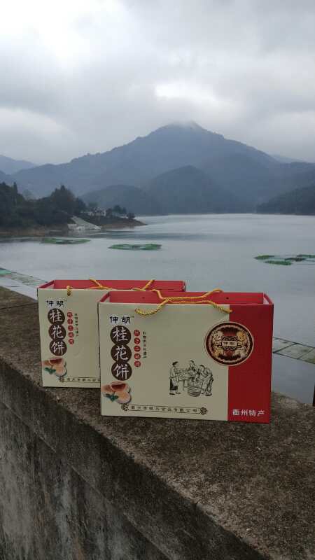 衢州衢江区杜泽镇人口_衢州衢江区莲花镇杜村
